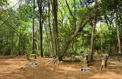 狭山丘陵の峰にまつられた山の神.jpg