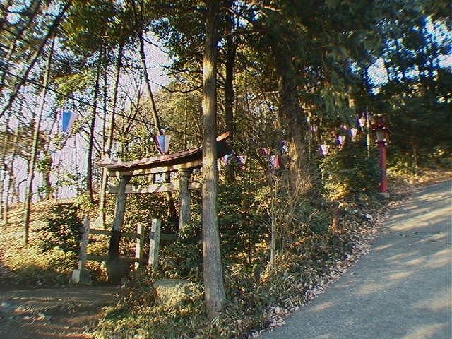 2箱根ヶ崎三社権現(現狭山神社).jpg