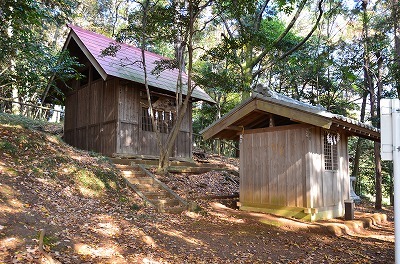 奥側の社が厳島神社です.jpg