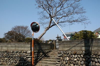 阿弥陀堂があった宮鍋一族墓地.jpg