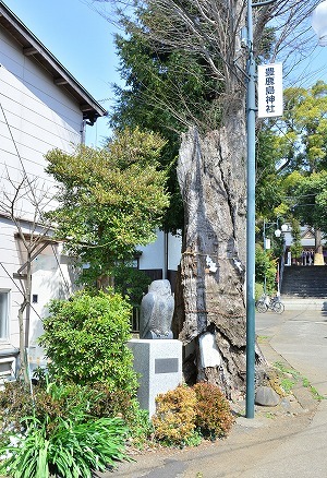 鹿島様の大欅とモニュメントふくろう.jpg