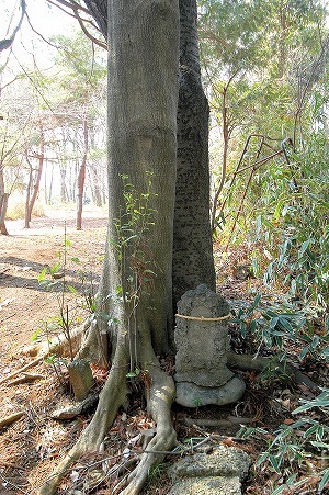 かっての蚕影神社.jpg