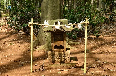 山の神_正面_神名は不明(欠損）.jpg