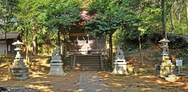 11蔵敷_熊野神社_本殿両脇の小さな崖に芋窪礫層の露頭.jpg