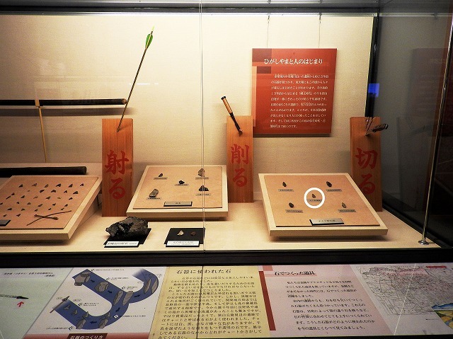 東大和市郷土博物館石器時代の展示.jpg