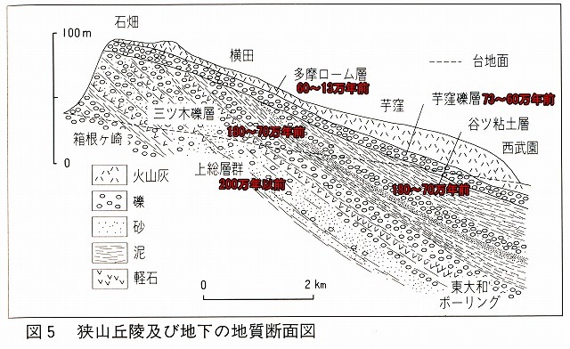 狭山丘陵地質断面図東大和のコピー.jpg