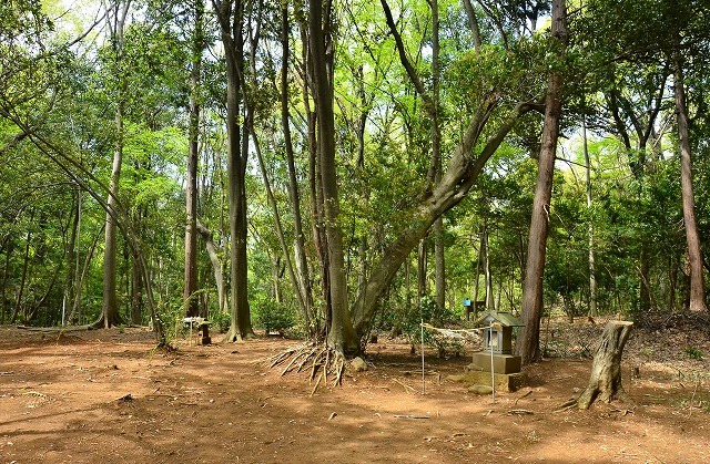 蔵敷の狭山丘陵山中に山の神と愛宕社.jpg