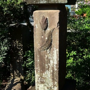 右側面.jpg