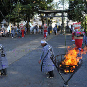 清戸街道を経て参道から神社前庭に.jpg