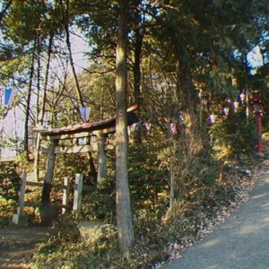 2箱根ヶ崎三社権現(現狭山神社).jpg