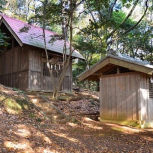 奥側の社が厳島神社です.jpg