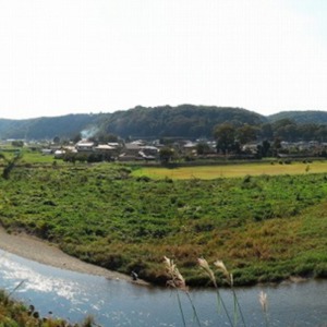 2多摩川を前に高月城(正面)滝山城(左).jpg