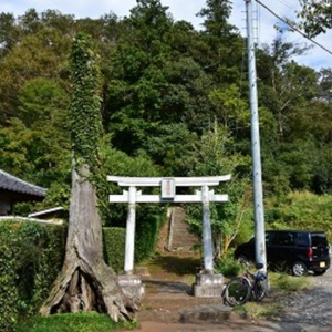 厳島神社の鳥居.jpg