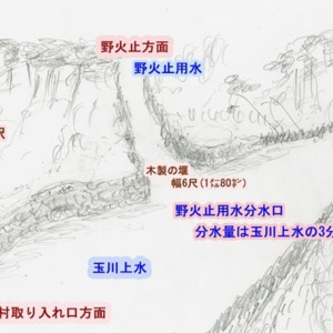 4野火止用水分水口の様子.jpg