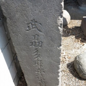 左側面.jpg