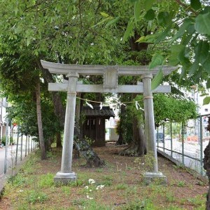 北側からの参道.jpg