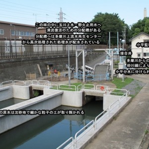 8現在の分水口跡の様子.jpg