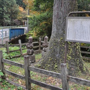 4『武蔵名勝図会』.jpg