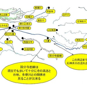 3玉川上水のルート_野火止用水の分水口.jpg