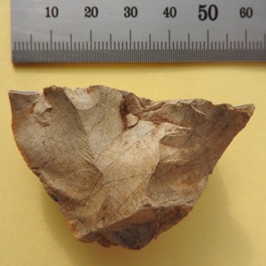 5街道内遺跡から発見された「石核」(約15000年前).jpg