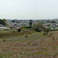 鹿島台からの武蔵野台地.jpg