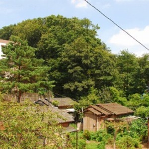 4大堀山館跡とされる周辺.jpg