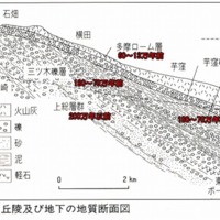 狭山丘陵地質断面図東大和のコピー.jpg
