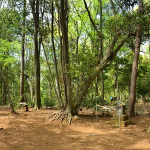 蔵敷の狭山丘陵山中に山の神と愛宕社.jpg