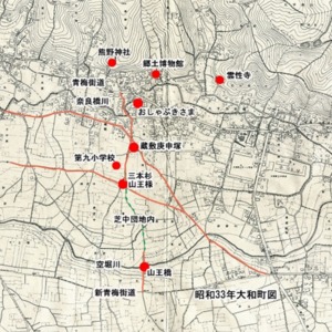 山王様周辺図.jpg